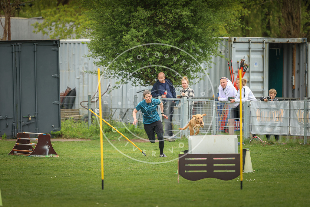 Pfotenfotografie_0L8A1488 | Hundefotografie, Tierfotograf, Pfotenfotografie, Fotoshooting Hund, Hunde Portrait, Hundesport, Hundeportraits, Heideshooting, Hunde, Sportfotograf, Hundefotograf, Turnierhundsport, THS,  - Realisiert mit Pictrs.com