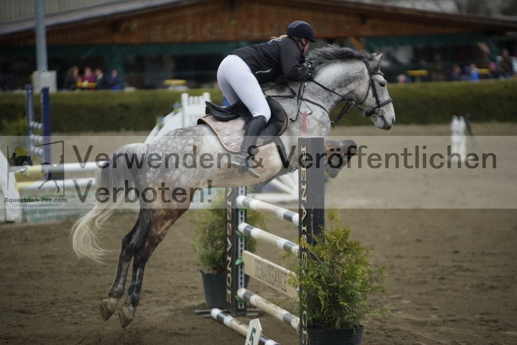 _DSC7189 | equestrian-live-com