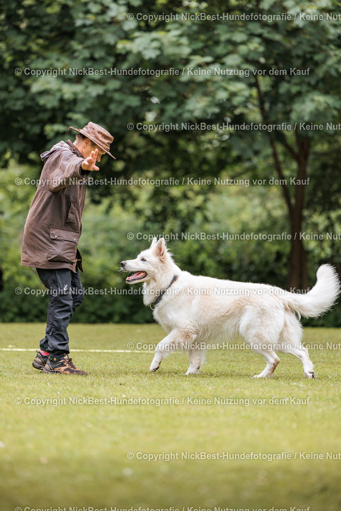 RO-Blumenthal-2026-Nickbest-Hundefotografie-1982 | Dein Hund! Dein Moment! Deine Erinnerungen! Hundefotografie in Bremen Blumenthal. Ich fange die besonderen Momente deines Vierbeiners ein – ob Indoor mit Blitzanlage oder in der freien Natur. Sicher dir dein Moment und dein Termin für eure Erinnerungen.