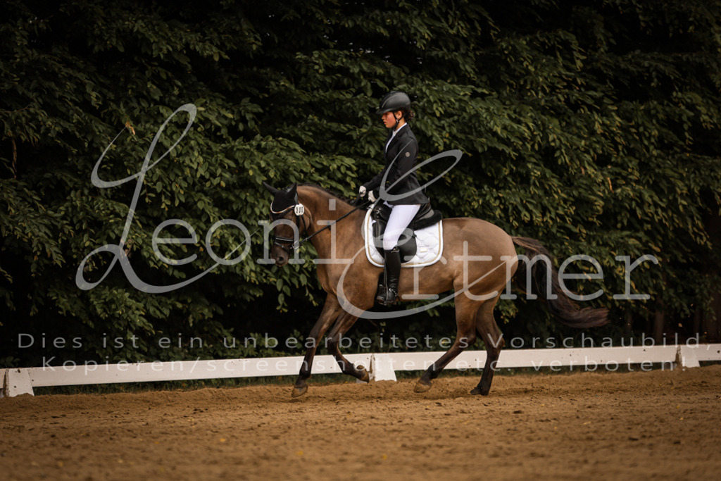 DoDrE00377 | Leoni Ertmer Photography - Realisiert mit Pictrs.com