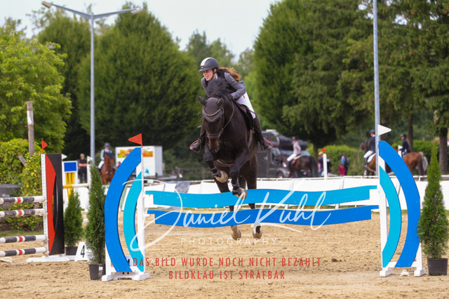 DKP42097 | Turniersportfotografie; Pferdefotografie; Dressurfotografie