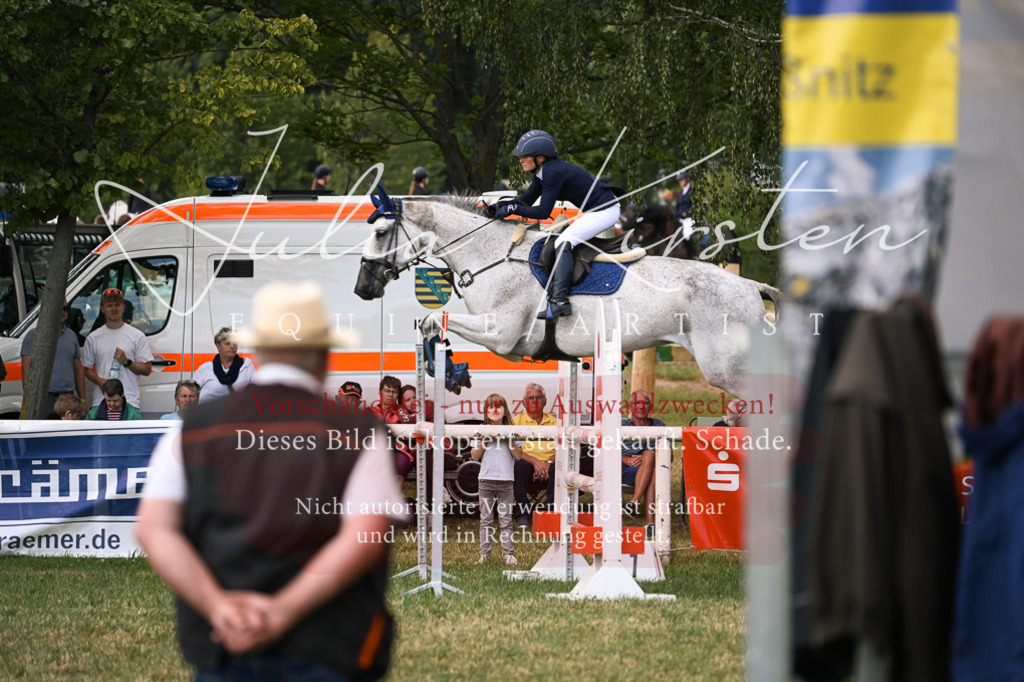 DSC_0931 | Pferde- und Turnierfotografie in Westsachsen. Pferdeportraits, Auftragszeichnungen und intuitive Kunst.