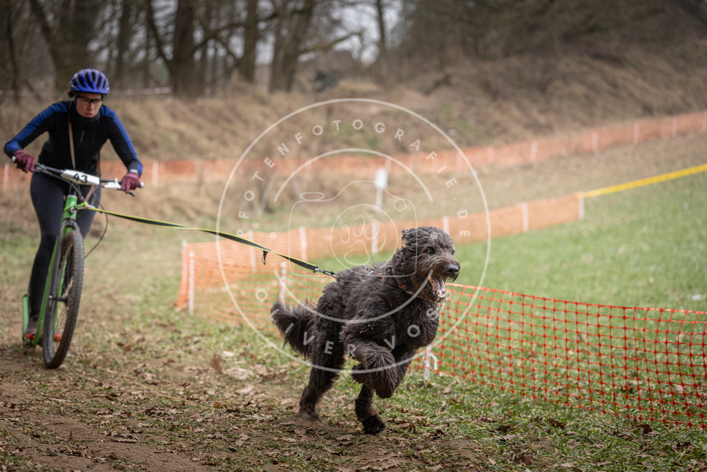 Pfotenfotografie_DV3A6603 | Hundefotografie, Tierfotograf, Pfotenfotografie, Fotoshooting Hund, Hunde Portrait, Hundesport, Hundeportraits, Heideshooting, Hunde, Sportfotograf, Hundefotograf, Turnierhundsport, THS,  - Realisiert mit Pictrs.com