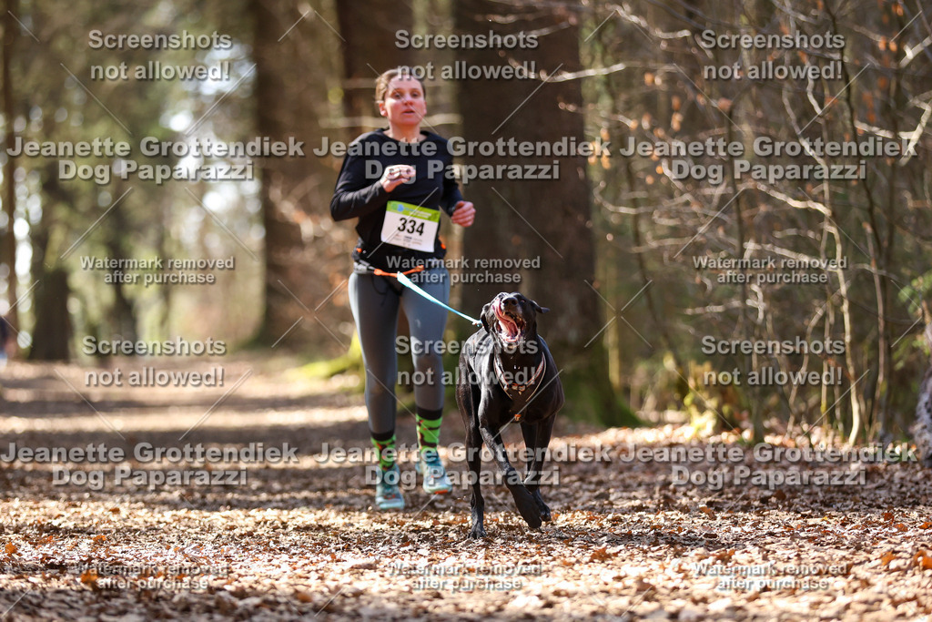 Dog Paparazzi - VCC26-1305 | Dog Paparazzi Jeanette Grottendiek Fotografie & Videografie - Realisiert mit Pictrs.com