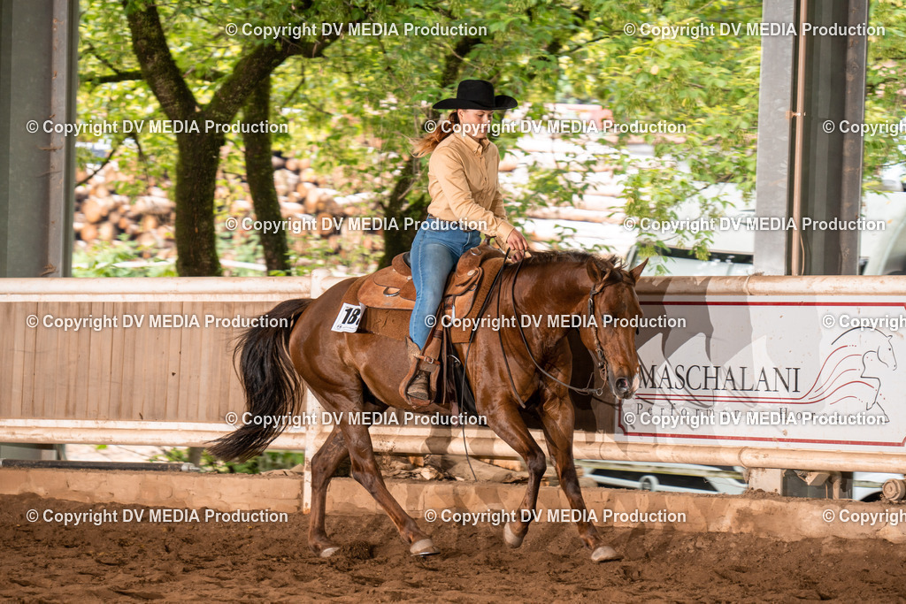 Erbach Tag 4-686 | dv-media-shop - Realisiert mit Pictrs.com