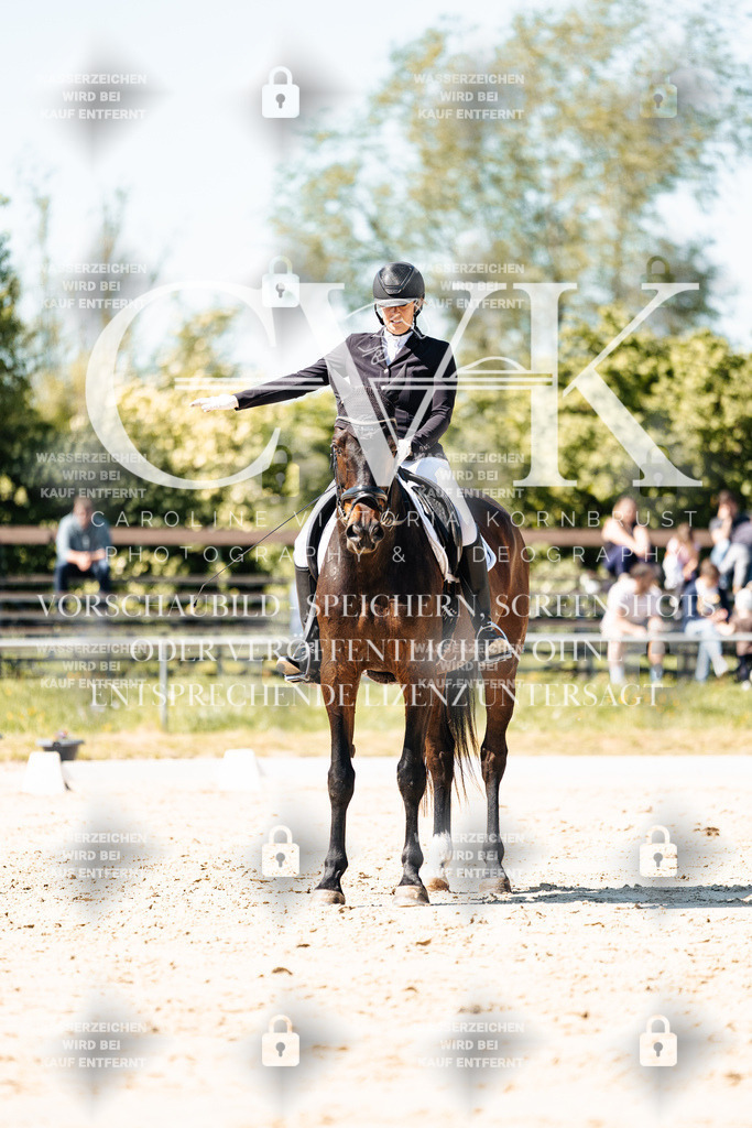 CK905470 | Turnierfotografie Pferdefotografie Trier Rheinland-Pfalz Pferdesport Reitsport Tierfotografie Sportfotografie Pferdevideo Pferdevideografie Equestrianvideography equestrianphotography  - Realisiert mit Pictrs.com