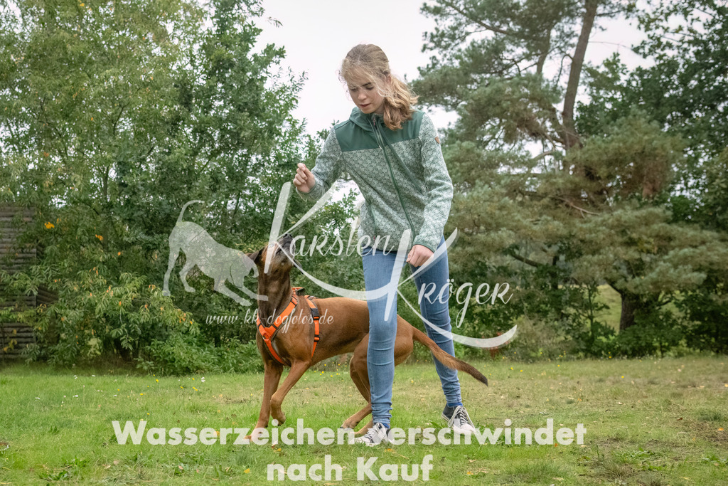1136_ZZ94736-Bearbeitet | kk-dogfotos