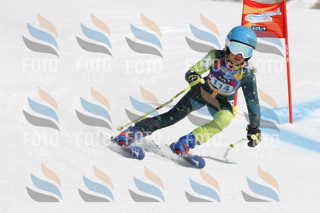 _U3G0587 | holidayphoto