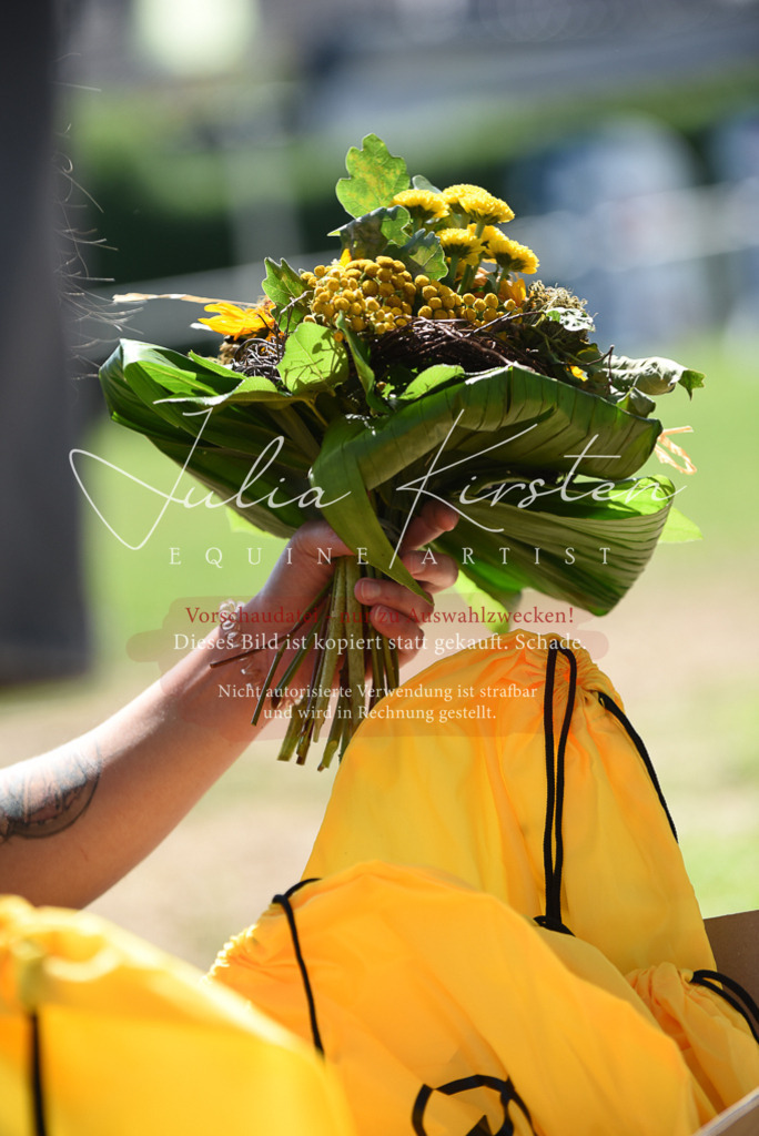 DSC_9877 | Pferde- und Turnierfotografie in Westsachsen. Pferdeportraits, Auftragszeichnungen und intuitive Kunst.