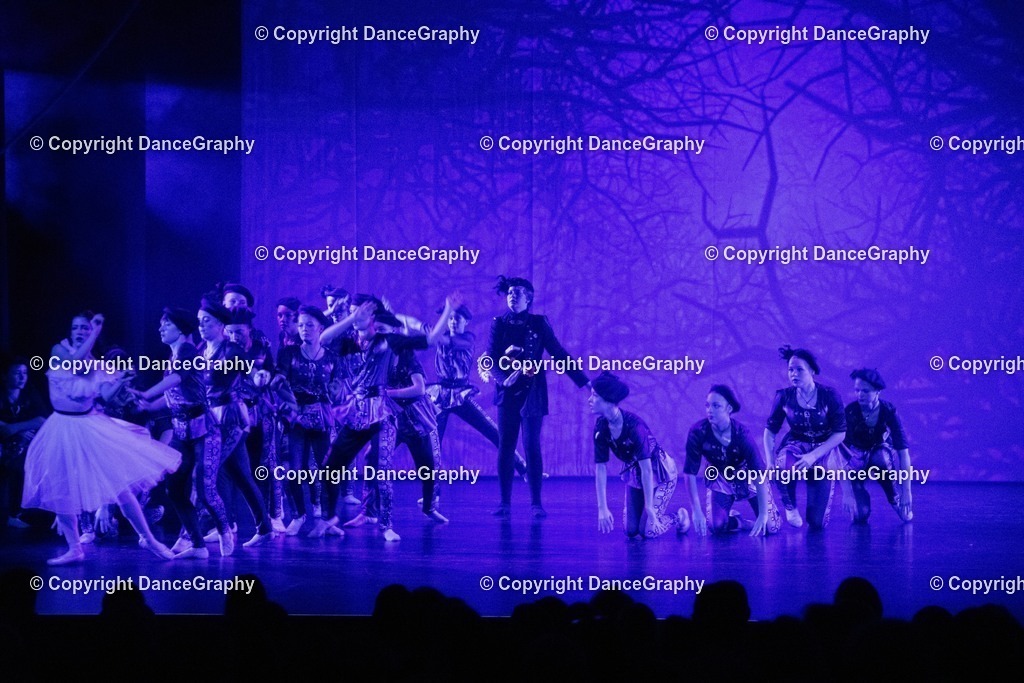 GPHY1700 | DanceGraphy - Realisiert mit Pictrs.com