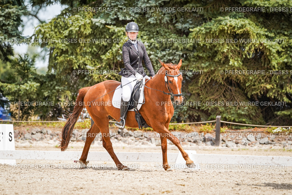 DSC03643 | Pferdegrafie