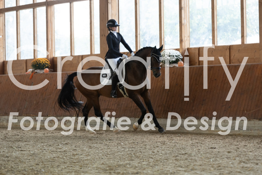 IMG_1816 | Creatify Fotografie