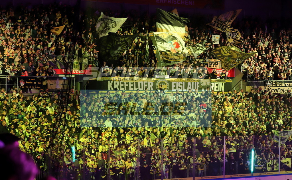Fans der Krefeld Pinguine | Fans der Krefeld Pinguine - Realisiert mit Pictrs.com