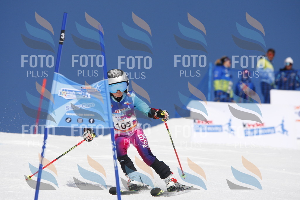 _W1G1577 | holidayphoto