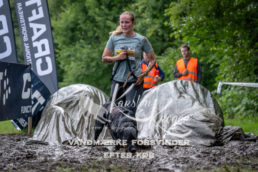 1052_ZZ93102 | kk-dogfotos