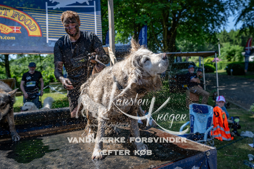 1251_ZZ90126 | kk-dogfotos