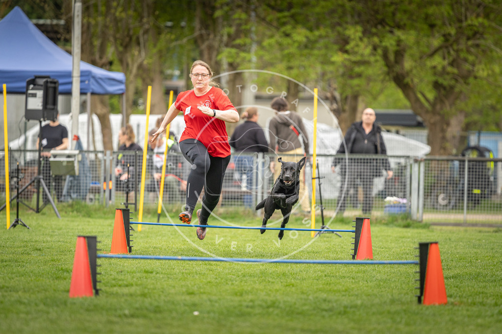 Pfotenfotografie_DV3A0939 | Hundefotografie, Tierfotograf, Pfotenfotografie, Fotoshooting Hund, Hunde Portrait, Hundesport, Hundeportraits, Heideshooting, Hunde, Sportfotograf, Hundefotograf, Turnierhundsport, THS,  - Realisiert mit Pictrs.com