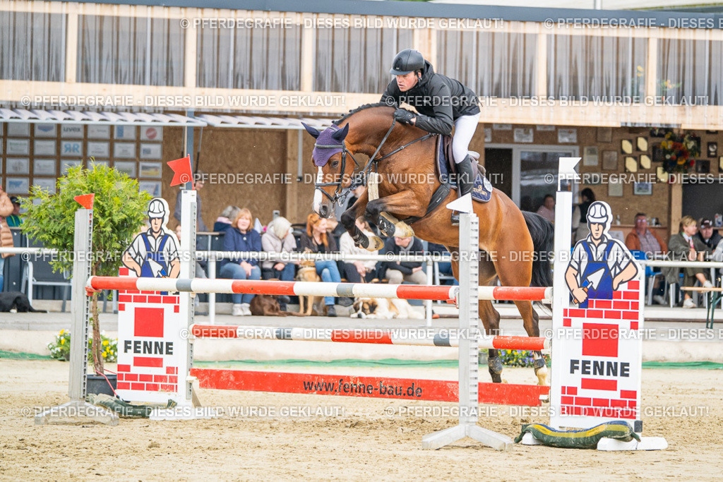 DSC02145 | Pferdegrafie