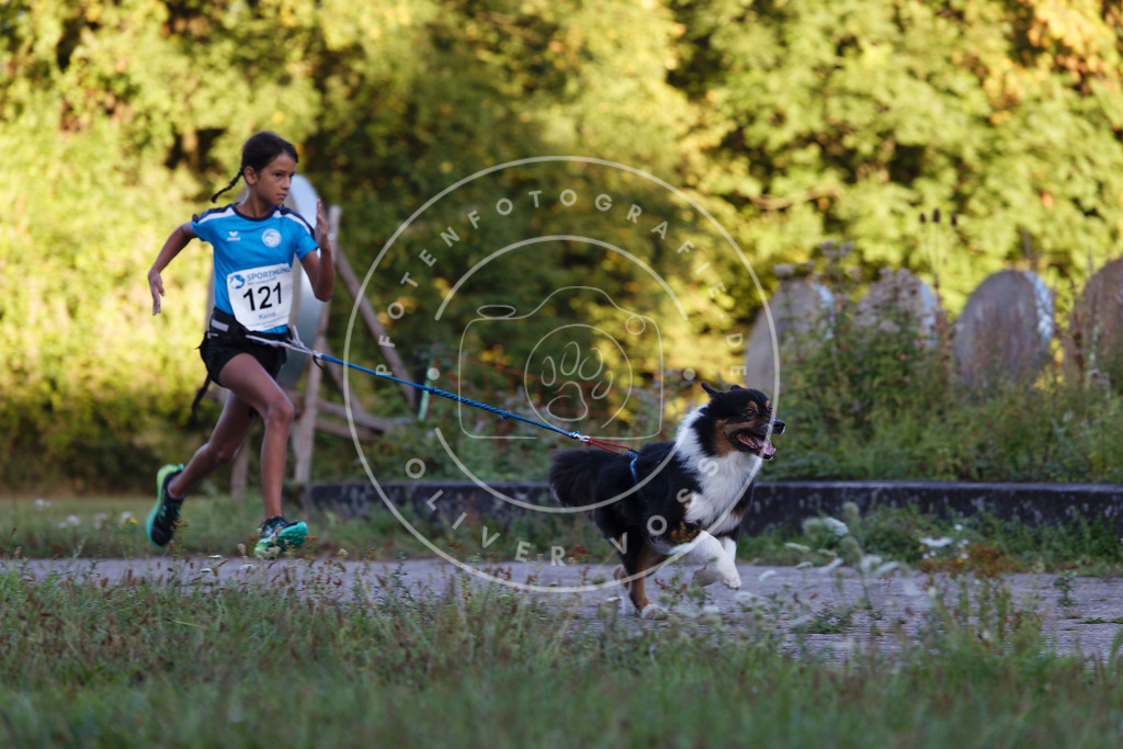 0L8A4357 | Hundefotografie, Tierfotograf, Pfotenfotografie, Fotoshooting Hund, Hunde Portrait, Hundesport, Hundeportraits, Heideshooting, Hunde, Sportfotograf, Hundefotograf, Turnierhundsport, THS,  - Realisiert mit Pictrs.com