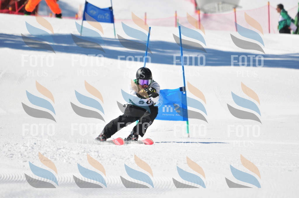 C4432 | holidayphoto