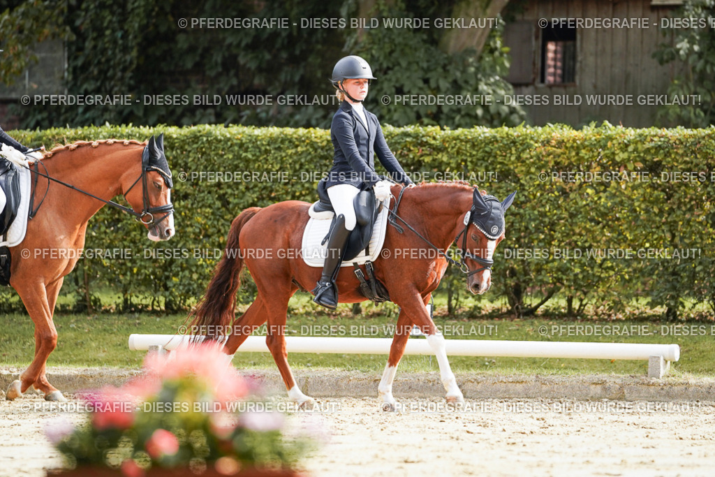 DSC04120 | Pferdegrafie