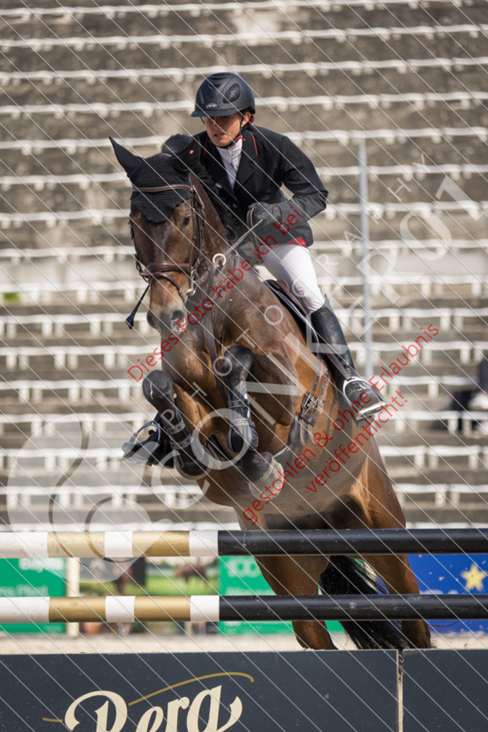 IMG_4935 | Sport-, Event- und Tierfotos in Profiqualität. Einfach auswählen, bestellen und herunterladen. Dein Moment – perfekt festgehalten.