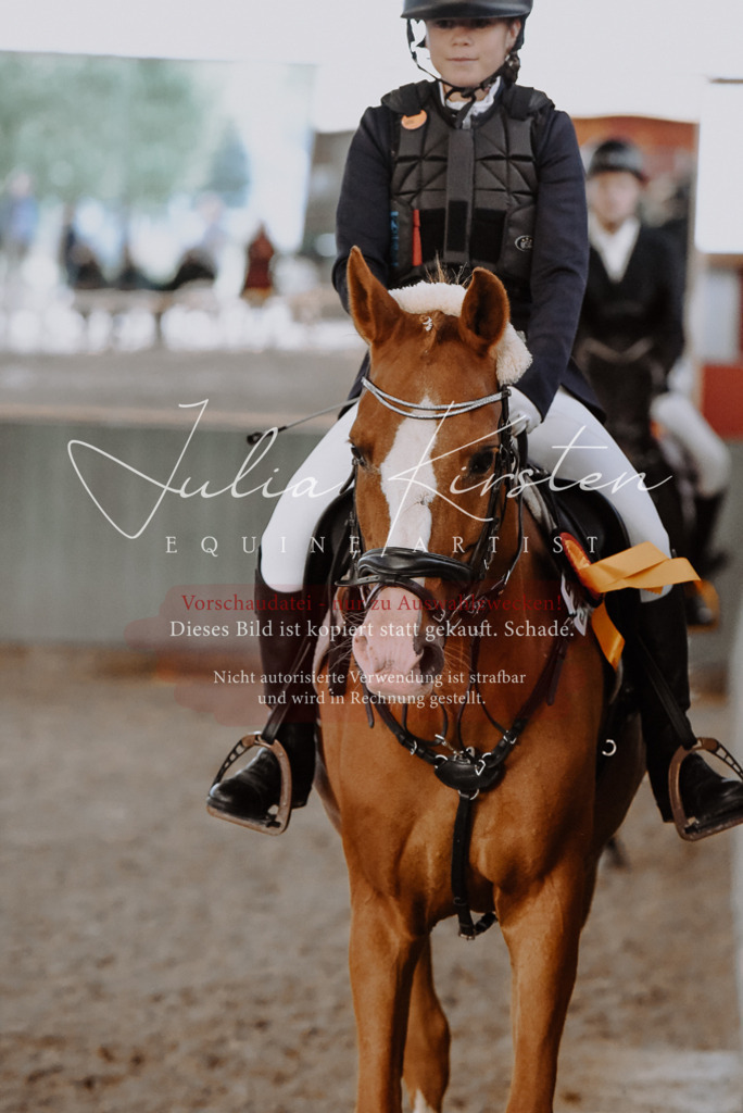 DSC_7514 | Pferde- und Turnierfotografie in Westsachsen. Pferdeportraits, Auftragszeichnungen und intuitive Kunst.