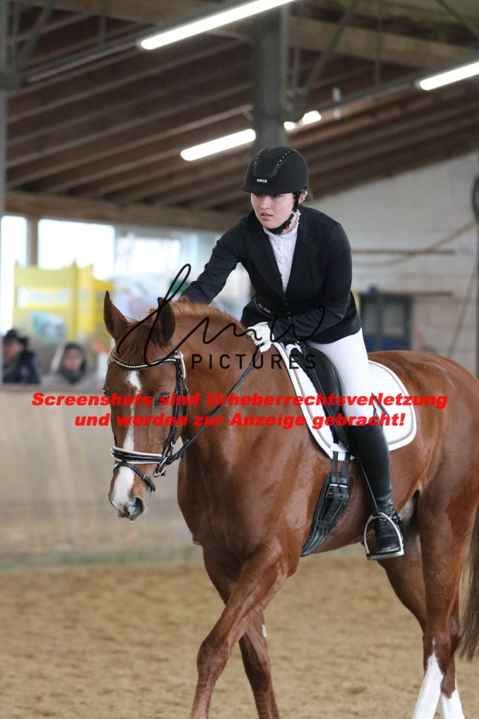 IMG_7785 | lmwpictures - Realisiert mit Pictrs.com