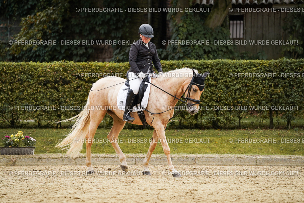 DSC09904 | Pferdegrafie