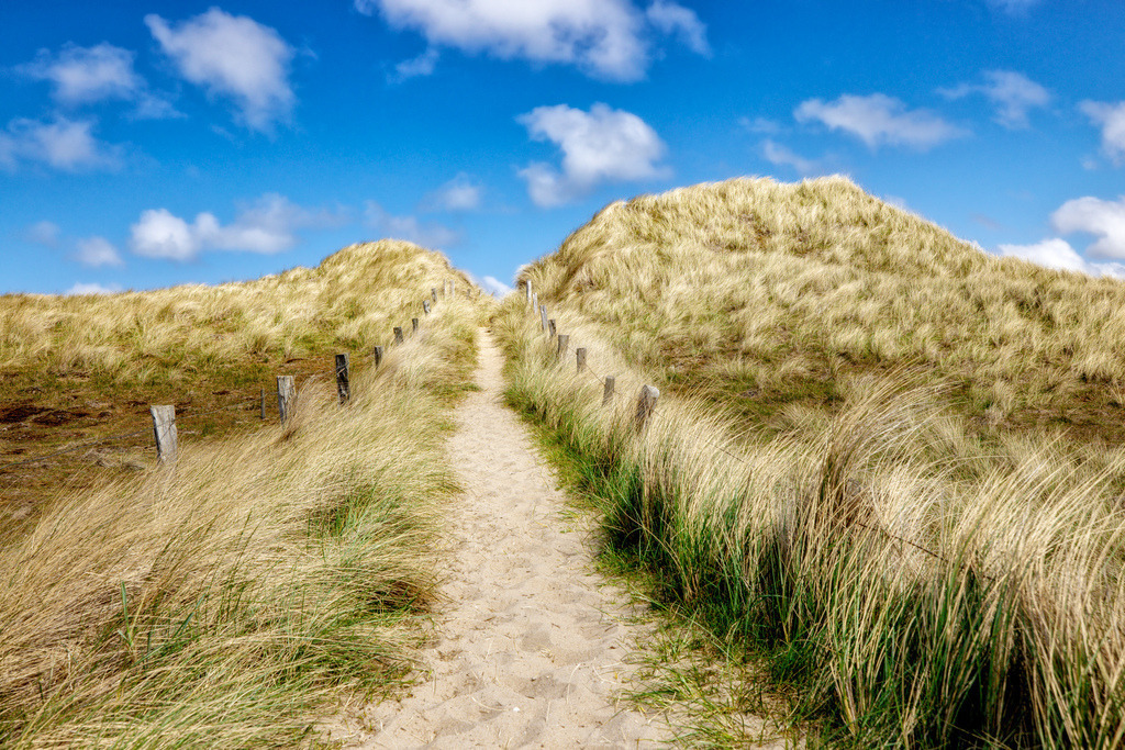 Schmaler Sandweg durch Dünen und weichem Strandhafer--Sylt | Dieses Bild zeigt einen schmalen Sandweg durch Dünen, der typisch für die Insel Sylt ist.Die Landschaft ist von hohem Dünengras und einem Holzzaun zur Wegbegrenzung geprägt.Solche Szenen sind häufig auf dem Lister Ellenbogen oder in der Nähe des Weststrandes zu finden - Realisiert mit Pictrs.com