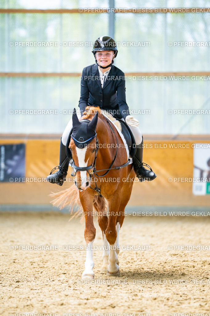 DSC09685 | Pferdegrafie