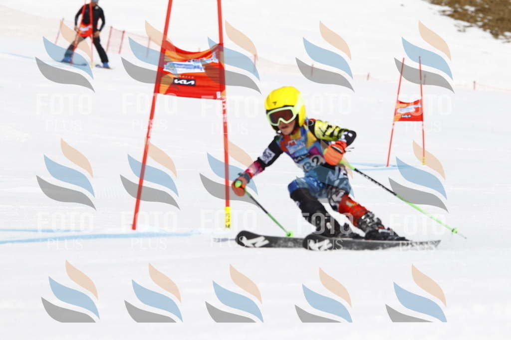 _U3G4791 | holidayphoto