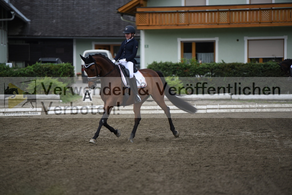 DSC_4262 | equestrian-live-com