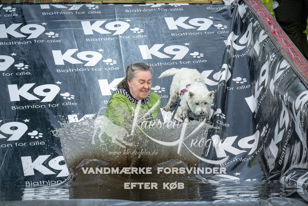 1604_ZZ92067 | kk-dogfotos