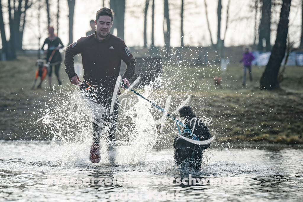 0843_ZZ97981 | kk-dogfotos