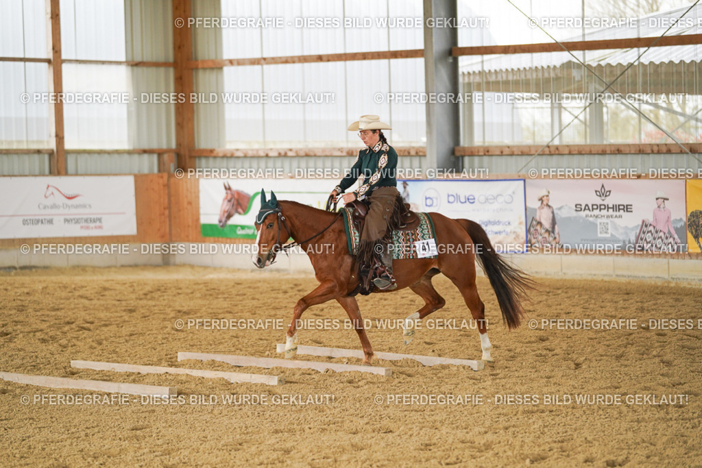 DSC03790 | Pferdegrafie