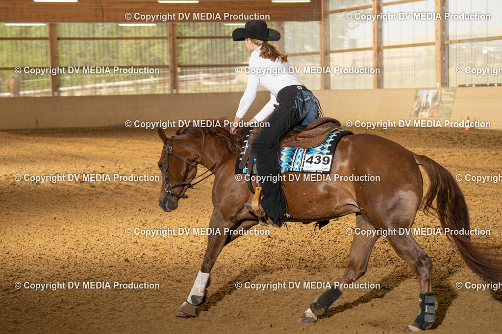 LAU01401 | dv-media-shop - Realisiert mit Pictrs.com