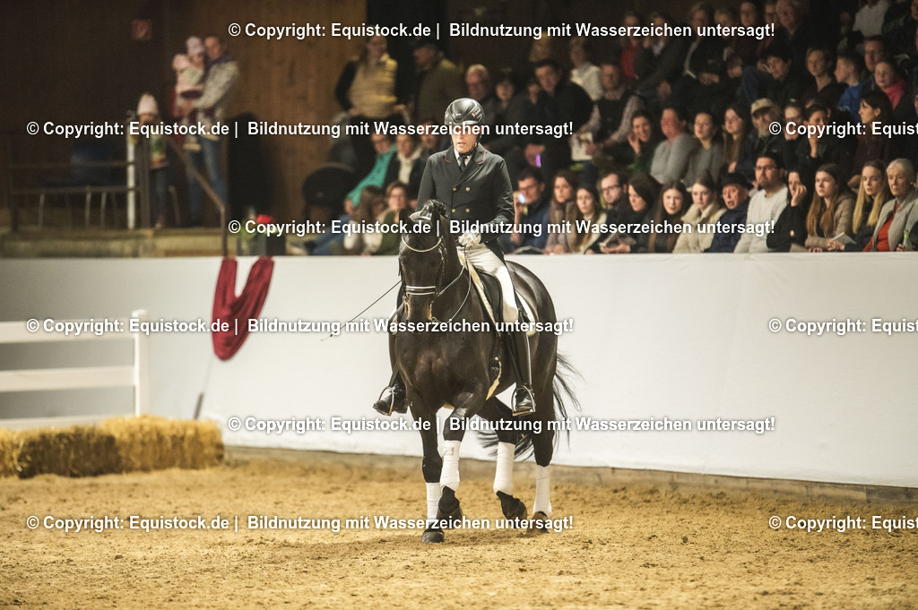 20240302_Hengstvorstellung_Marbach_TOMsPiC_1476 | equistock