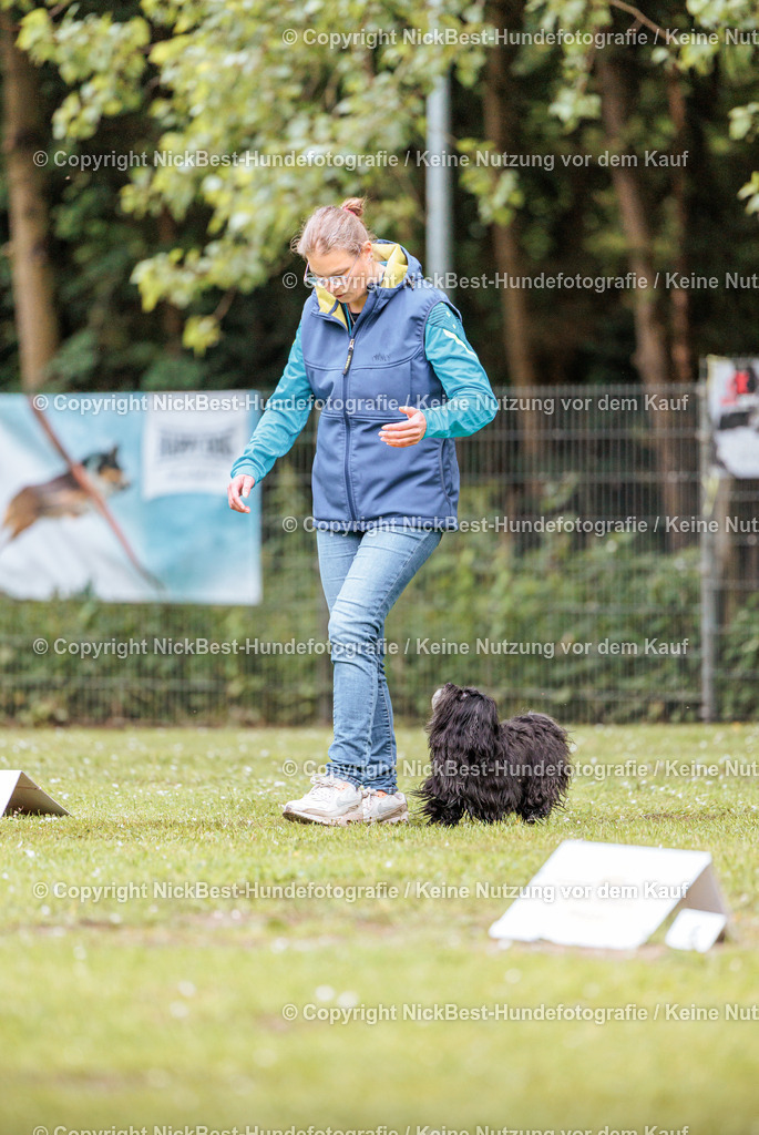 RO-Blumenthal-2026-Nickbest-Hundefotografie-0872 | Dein Hund! Dein Moment! Deine Erinnerungen! Hundefotografie in Bremen Blumenthal. Ich fange die besonderen Momente deines Vierbeiners ein – ob Indoor mit Blitzanlage oder in der freien Natur. Sicher dir dein Moment und dein Termin für eure Erinnerungen.