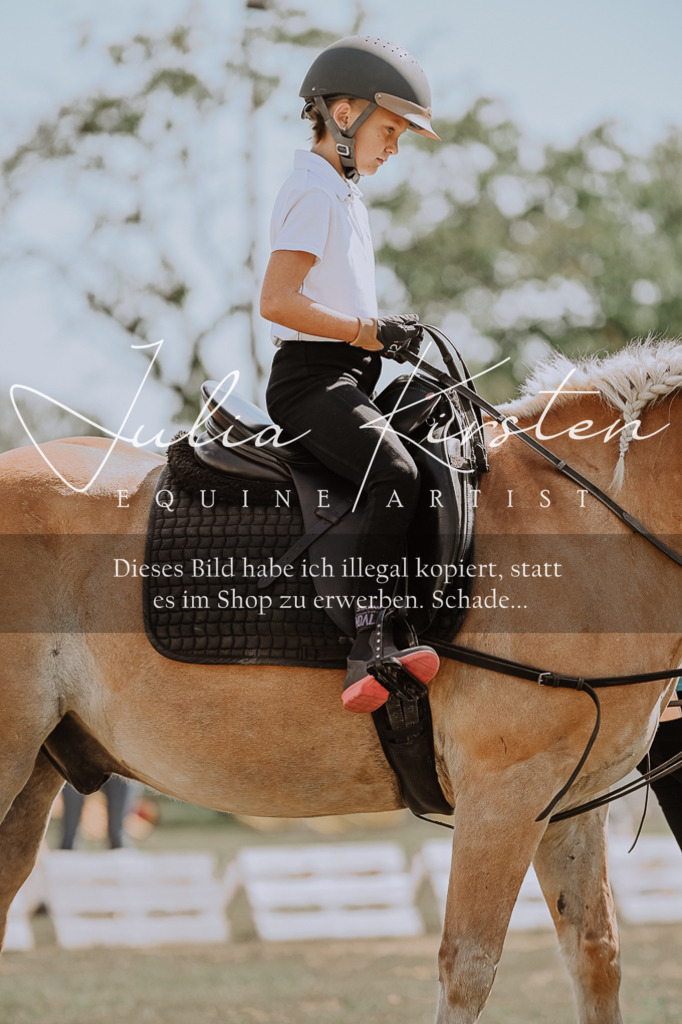 DSC_7786 | Pferde- und Turnierfotografie in Westsachsen. Pferdeportraits, Auftragszeichnungen und intuitive Kunst.
