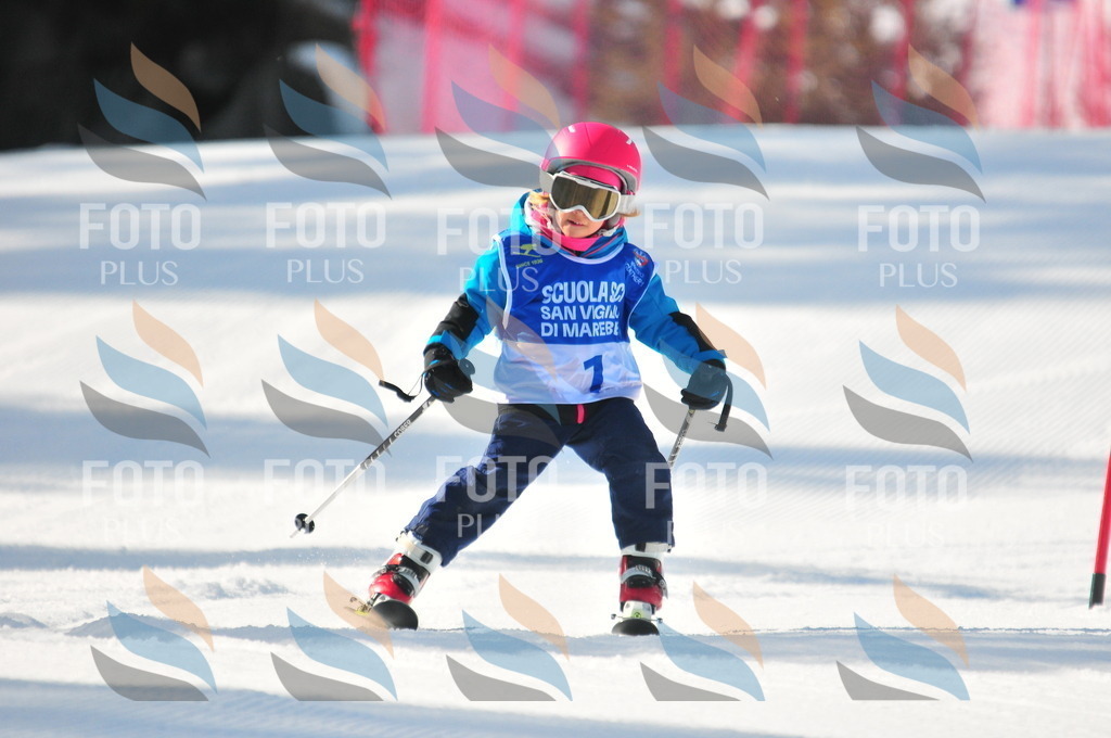 B9141 | holidayphoto