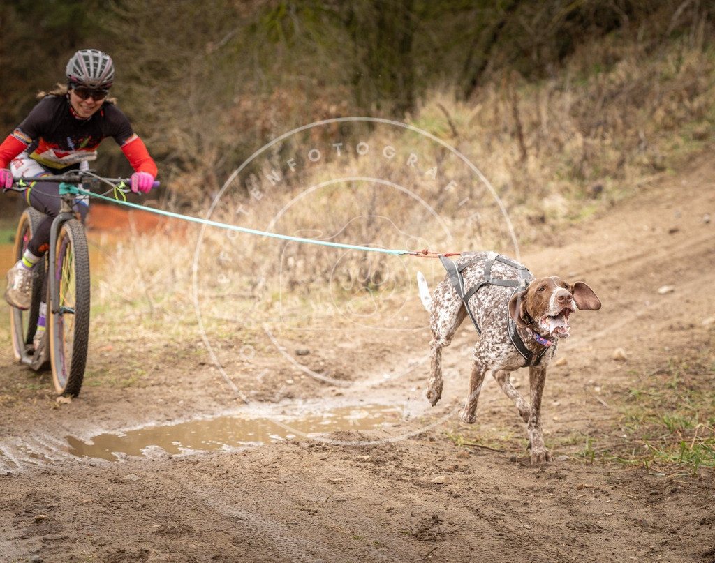 DV3A1340 | Hundefotografie, Tierfotograf, Pfotenfotografie, Fotoshooting Hund, Hunde Portrait, Hundesport, Hundeportraits, Heideshooting, Hunde, Sportfotograf, Hundefotograf, Turnierhundsport, THS,  - Realisiert mit Pictrs.com