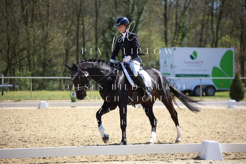 IMGT7890 | pl-fotografie