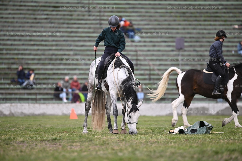 PI26_Show_Sara_Landvogt_226_1564.JPG | working equitationturnier fotograf videograf stoibphotography marixx film working equitation deutschland reitsport turnierfotografie eventfotografie equestrian events