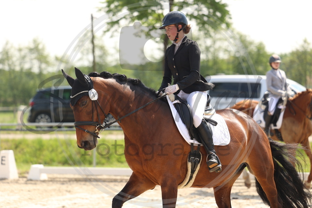 994A7120 | sabrinanicolaifotografie - Realisiert mit Pictrs.com