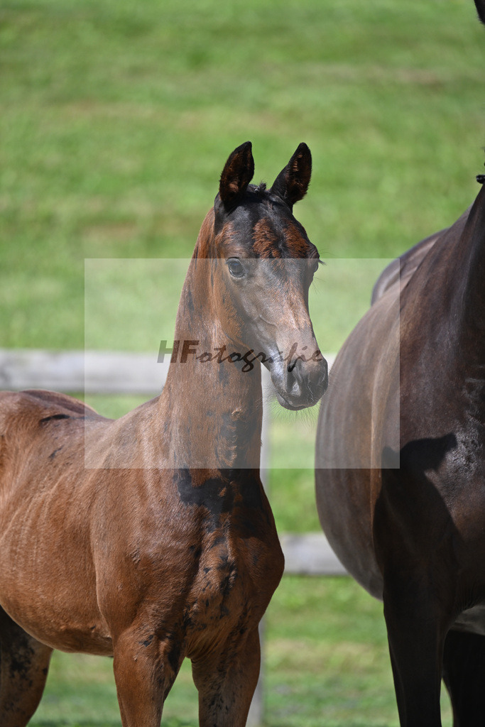 Escaneno x Dante Weltino_HF_Ruth_29240278 | hf-fotografie - Realisiert mit Pictrs.com