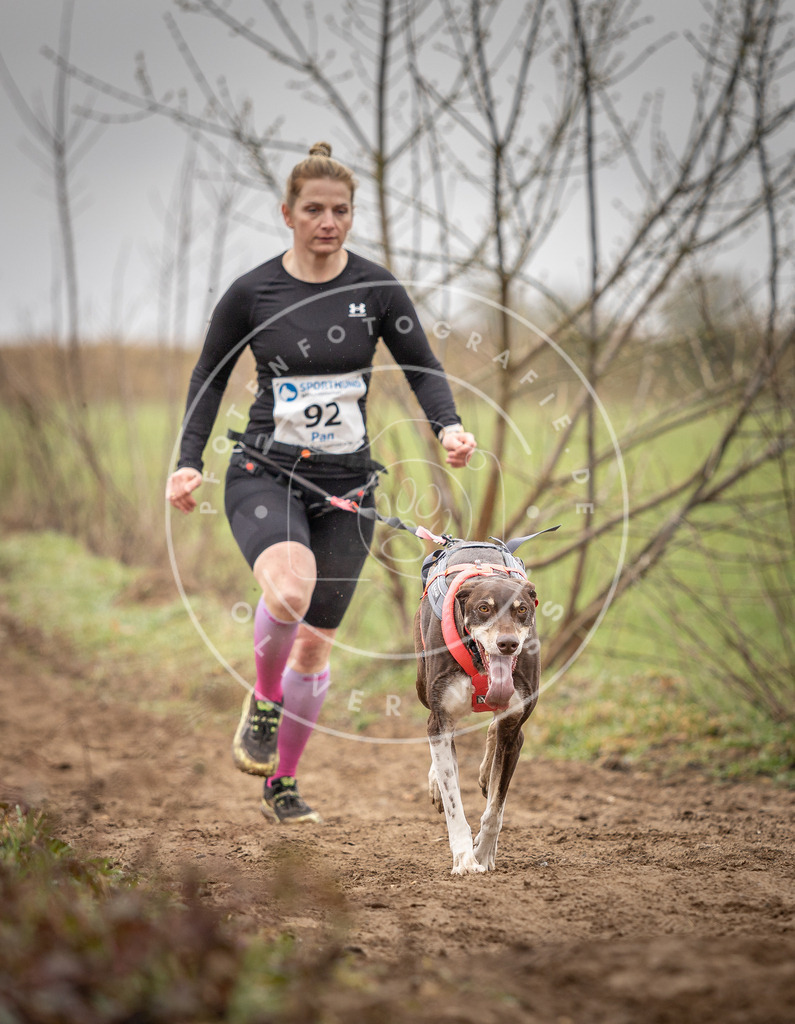 DV3A0016 | Hundefotografie, Tierfotograf, Pfotenfotografie, Fotoshooting Hund, Hunde Portrait, Hundesport, Hundeportraits, Heideshooting, Hunde, Sportfotograf, Hundefotograf, Turnierhundsport, THS,  - Realisiert mit Pictrs.com