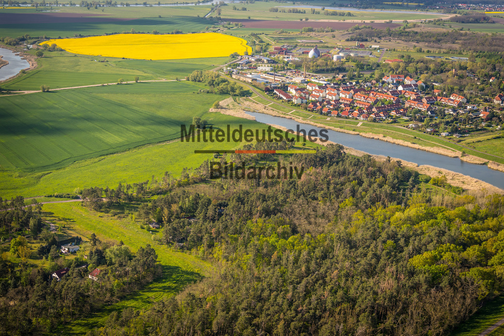 Biederitz Wald-3839 | Biederitz Gerwisch Potztrine - Realisiert mit Pictrs.com