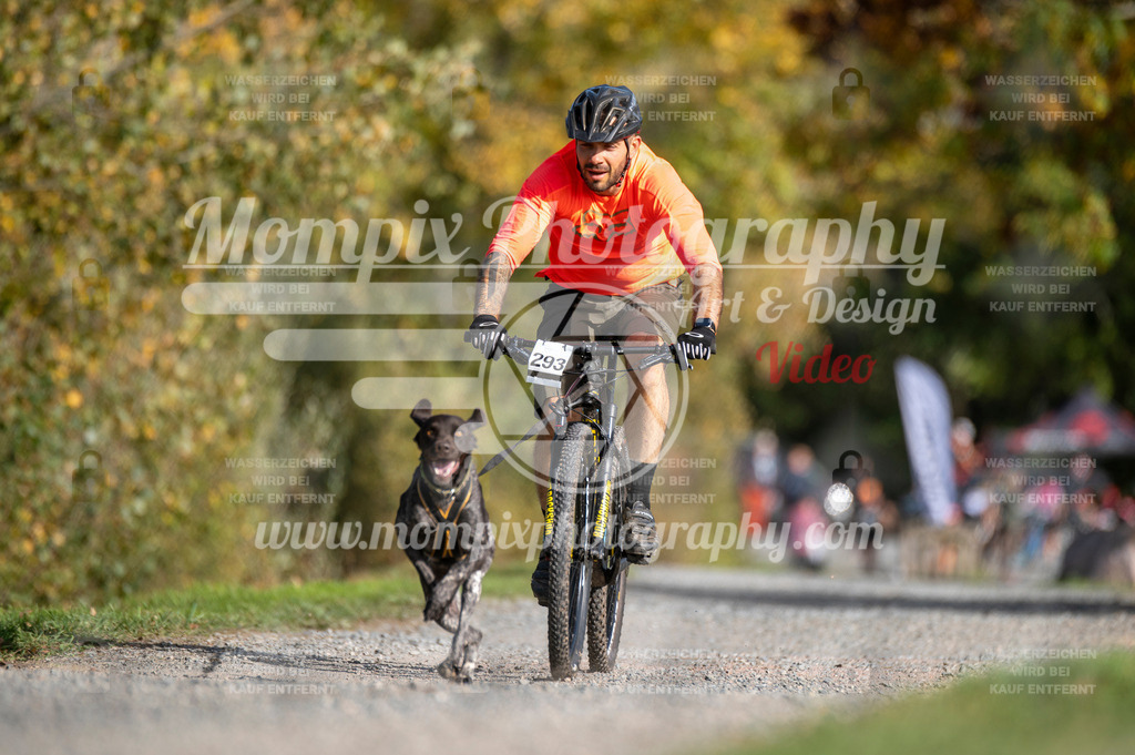 TSB_2023_E2_Bike-13 | PayLife
