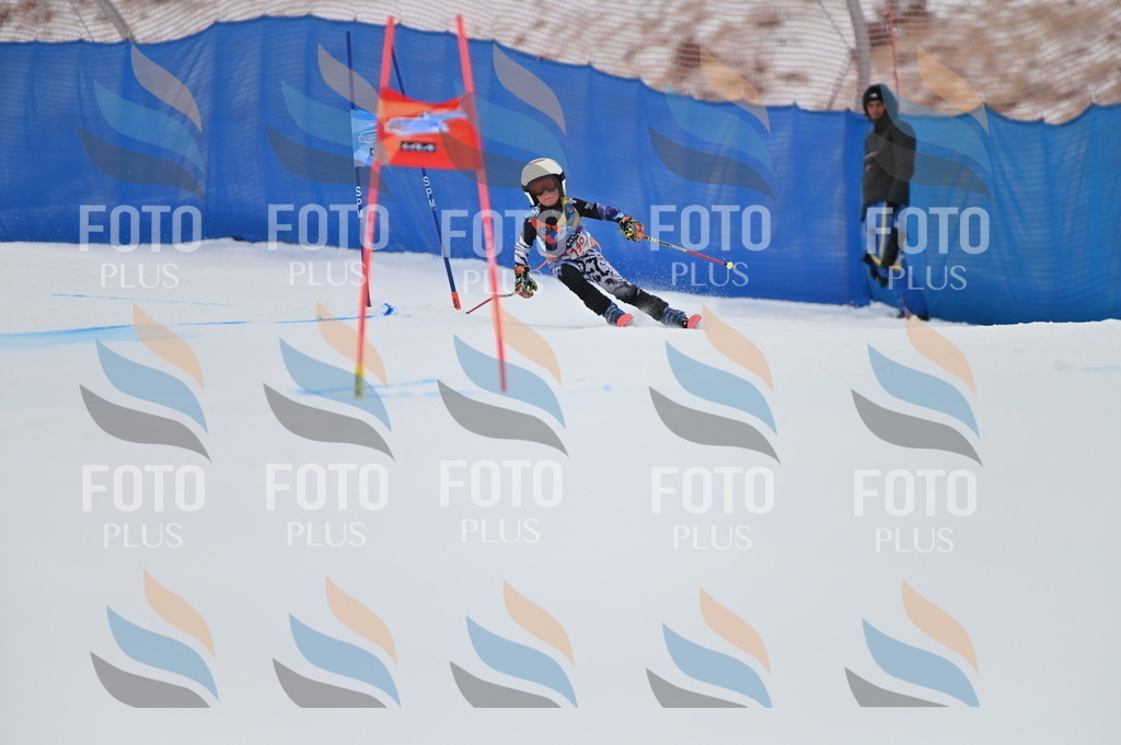 BGV_1691 | holidayphoto